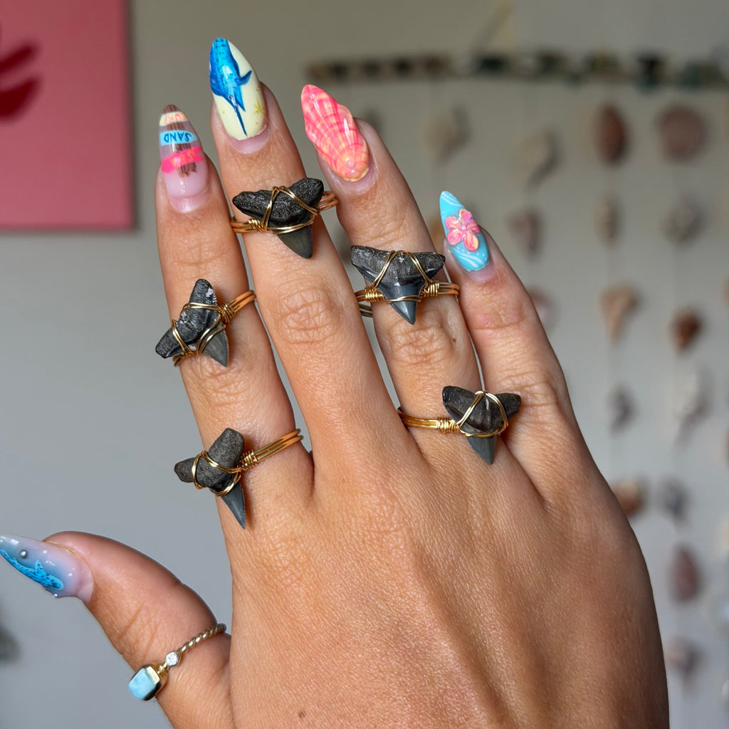 FOSSILIZED SHARK TOOTH RING